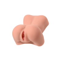 Adarashi 1