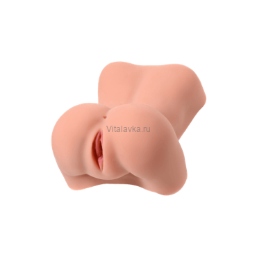 Adarashi 1 